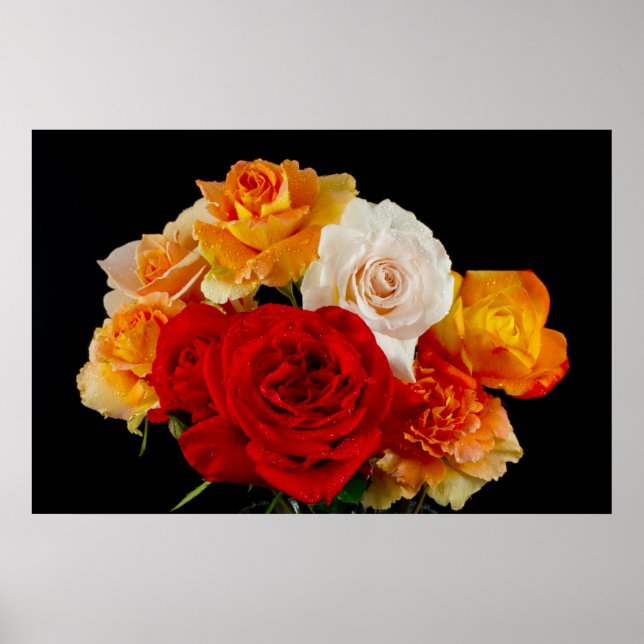 Schwarzer Bouquet der Rose Poster (Vorne)