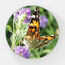 Schwarzer Butterfly auf der Lilac-Blume