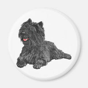 Schwarzer Cairn Terrier Magnet
