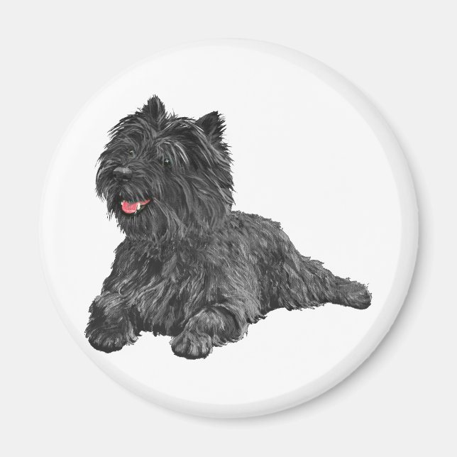 Schwarzer Cairn Terrier Magnet (Vorne)