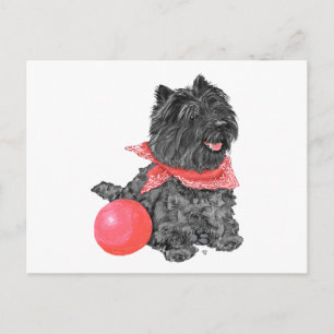 Schwarzer Cairn Terrier mit Ball Postkarte