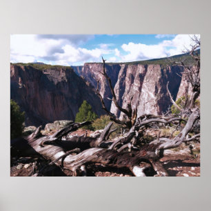 Schwarzer Canyon des Gunnison Poster