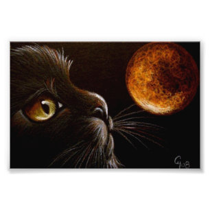 SCHWARZER CAT-PROFIL-ORANGE MOND-HALLOWEEN-NACHT FOTODRUCK