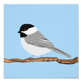 Schwarzer Chickadee-Druck Fotodruck