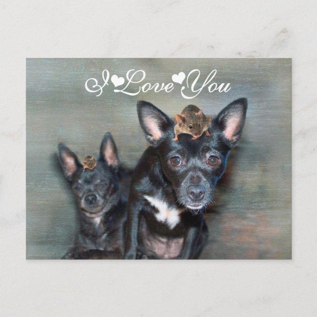 Schwarzer Chihuahua Hund mit Maus I Liebe You Postkarte (Vorderseite)
