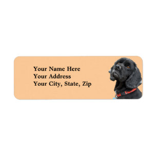 Schwarzer Cocker spaniel-Aufkleber