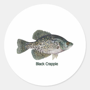 Schwarzer Crappie (betitelt) Runder Aufkleber