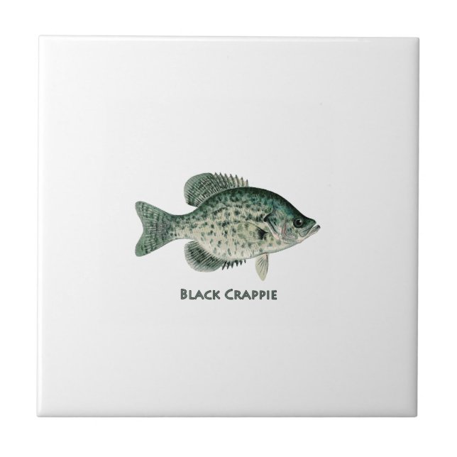 Schwarzer Crappie Fliese (Vorderseite)