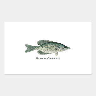 Schwarzer Crappie Rechteckiger Aufkleber
