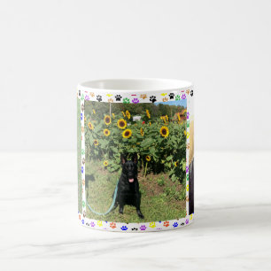 Schwarzer Deutscher Schäferhund mit Sonnenblumen u Kaffeetasse