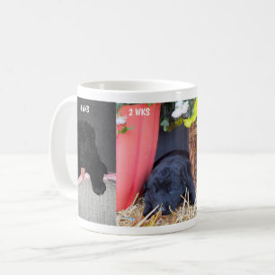 Schwarzer deutscher Schäferhund-Welpe 2 bis 4 Woch Kaffeetasse