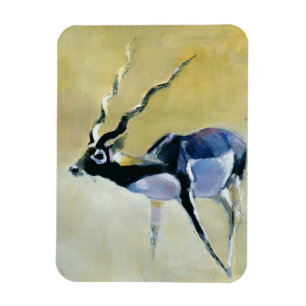 Schwarzer Dollar Velavadar 1997 Magnet
