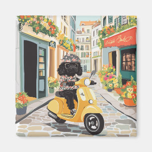 Schwarzer Doodle fährt mit Roller durch europäisch Magnet