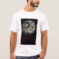 Schwarzer Drache/weißer Tiger