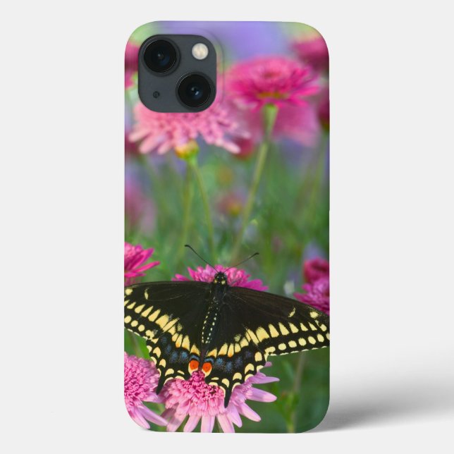 Schwarzer Frack-Schmetterling auf dunkler rosa Case-Mate iPhone Hülle (Rückseite)