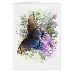 Schwarzer freier Raum des Schmetterlinges #2