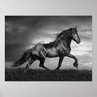 Schwarzer Friesischer Stallion Prancing durch das