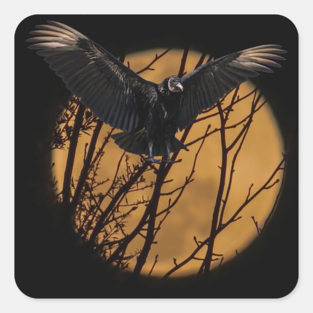 Schwarzer Geier bei Vollmond Halloween Quadratischer Aufkleber (Vorderseite)