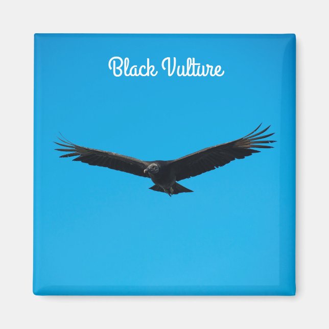 Schwarzer Geier Magnet (Vorne)