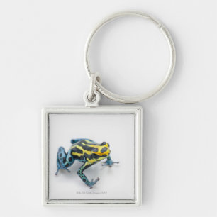 Schwarzer, gelber und blauer Gift-Pfeil-Frosch Schlüsselanhänger