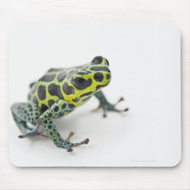 Schwarzer Gepunktet-grüner Gift-Dart-Frosch Mousepad (Vorne)