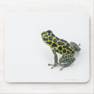 Schwarzer Gepunktet-grüner Gift-Dart-Frosch Mousepad
