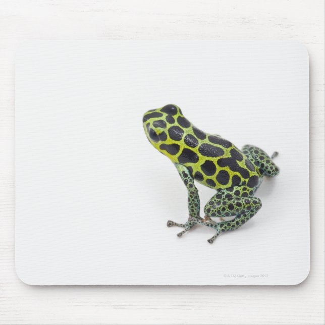 Schwarzer Gepunktet-grüner Gift-Dart-Frosch Mousepad (Vorne)