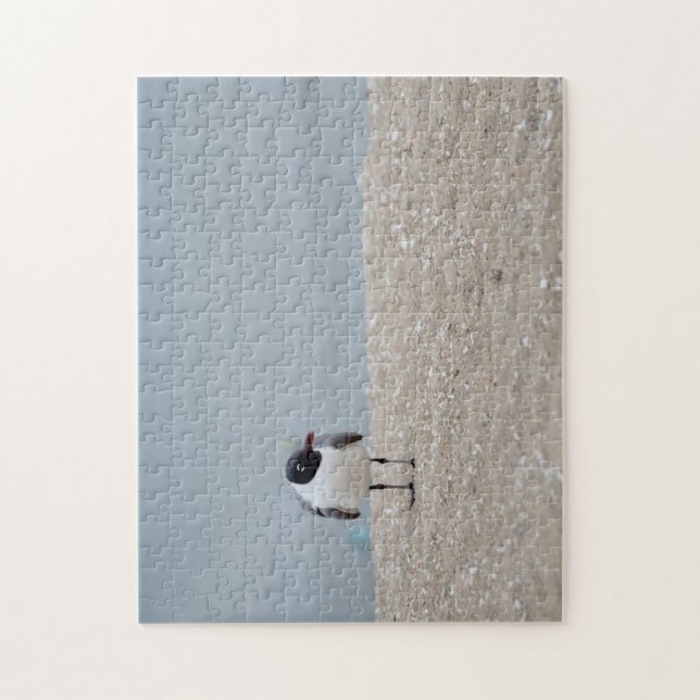 Schwarzer Gull Beach Shorebird (Vertikal)