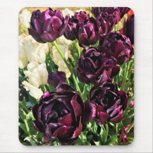 Schwarzer Held Tulips, Oregon Mousepad