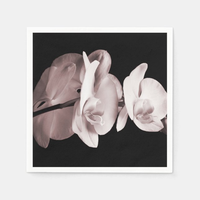 Schwarzer Hintergrund der weißen Orchideen-Blume A Serviette (Vorderseite)