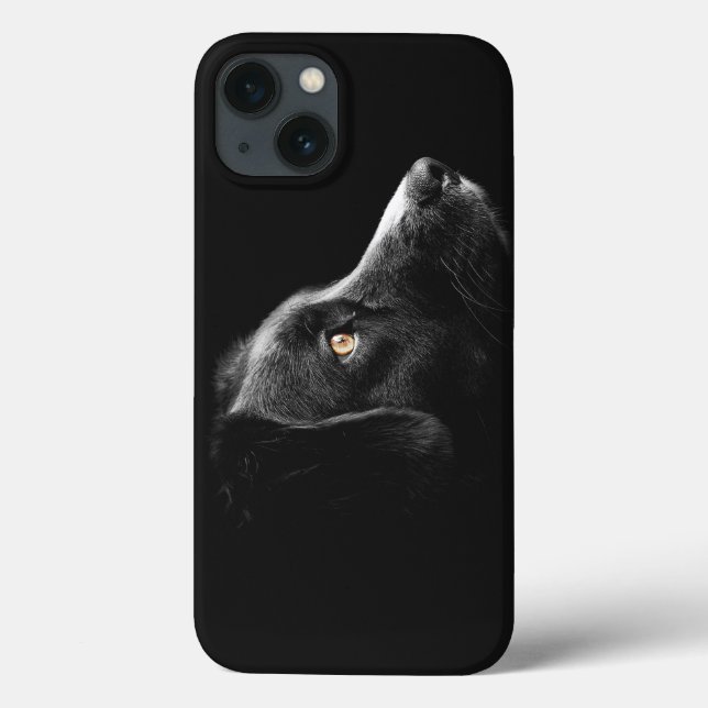 Schwarzer Hund beobachten Case-Mate iPhone Hülle (Rückseite)