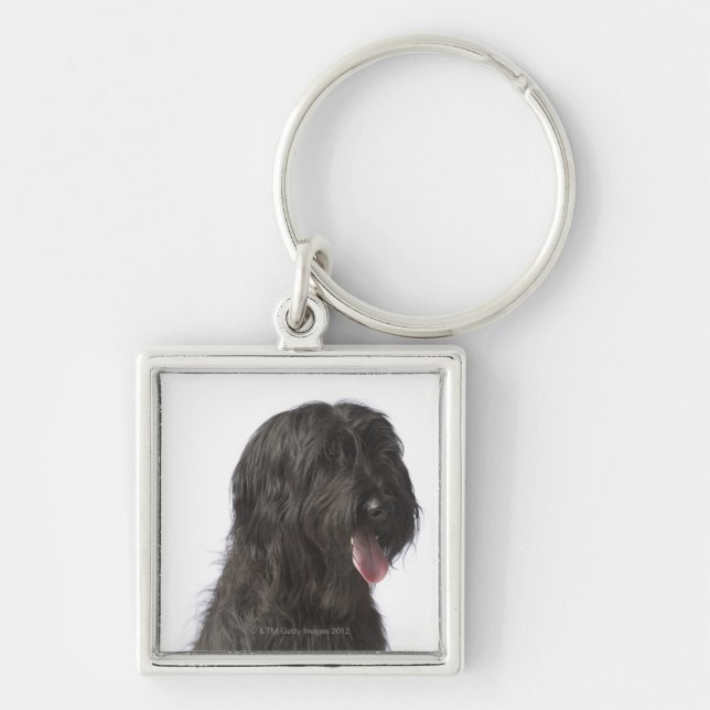 Schwarzer Hund, Briard Schlüsselanhänger (Vorne)