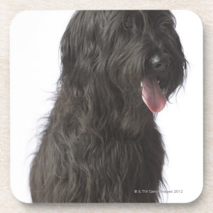 Schwarzer Hund, Briard Untersetzer