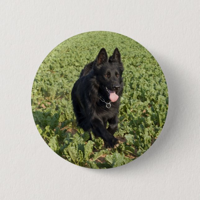 Schwarzer Hund Button (Vorderseite)