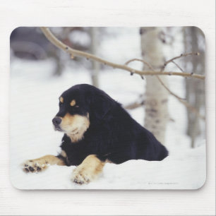 Schwarzer Hund, der im Schnee liegt Mousepad