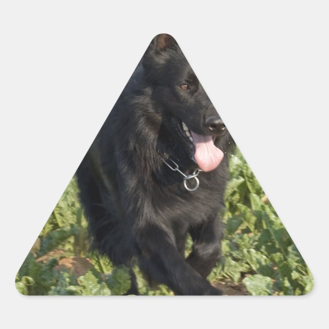 Schwarzer Hund Dreieckiger Aufkleber (Vorderseite)