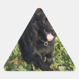 Schwarzer Hund Dreieckiger Aufkleber
