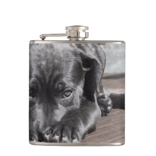 Schwarzer Hund Flachmann