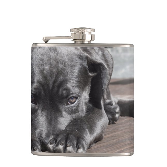 Schwarzer Hund Flachmann (Vorderseite)