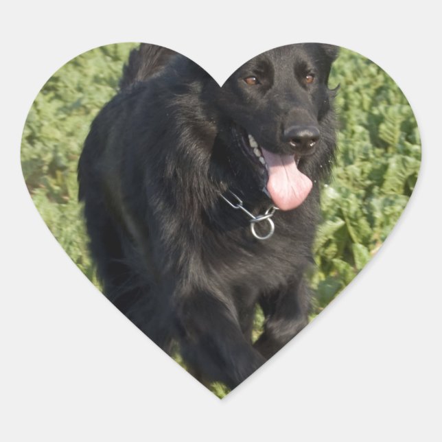 Schwarzer Hund Herz-Aufkleber (Vorderseite)