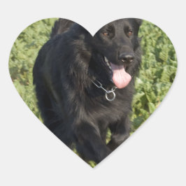 Schwarzer Hund Herz-Aufkleber