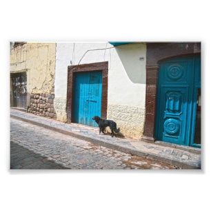 Schwarzer Hund in Cusco, Peru Fotodruck