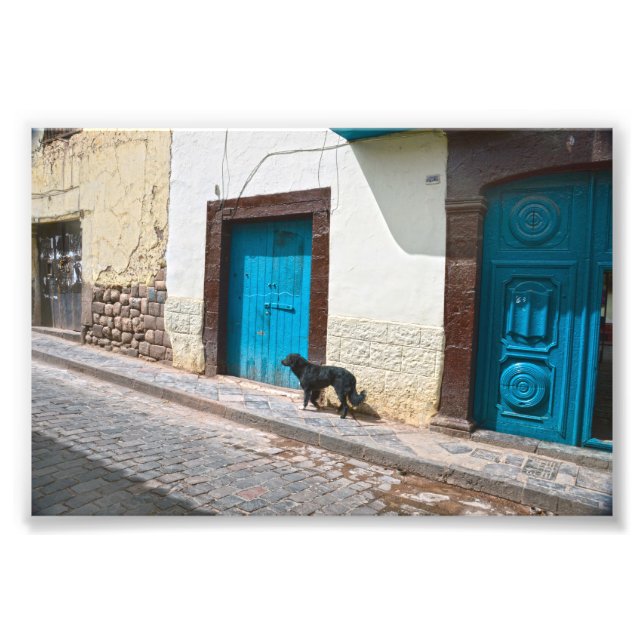 Schwarzer Hund in Cusco, Peru Fotodruck (Vorne)