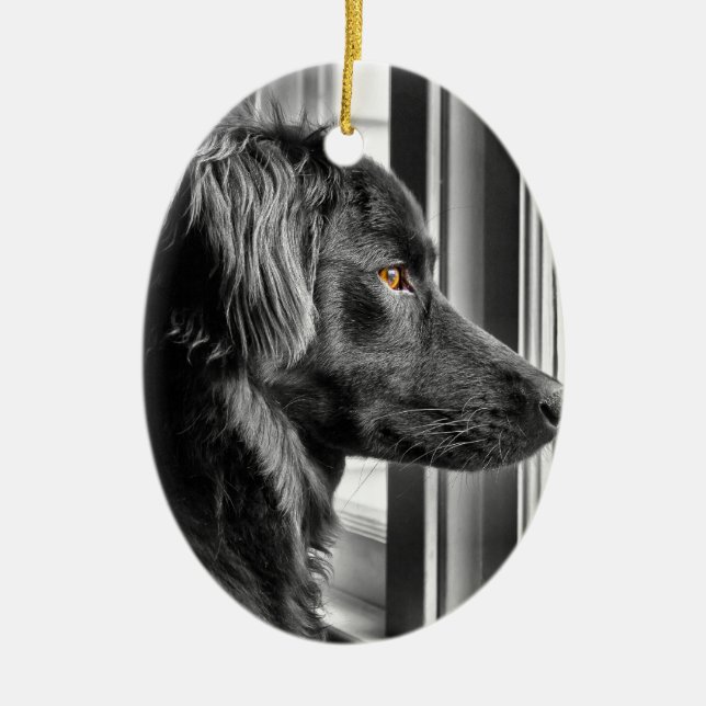Schwarzer Hund Keramik Ornament (Vorne)