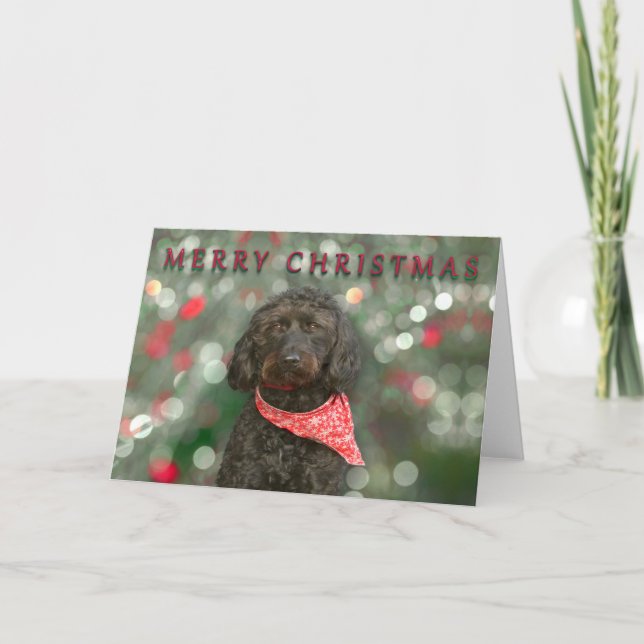 Schwarzer Hund Labradoodor Weihnachten Karte (Vorderseite)