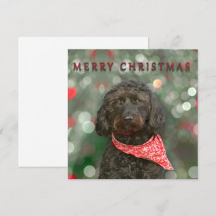Schwarzer Hund Labradoodor Weihnachten Karte