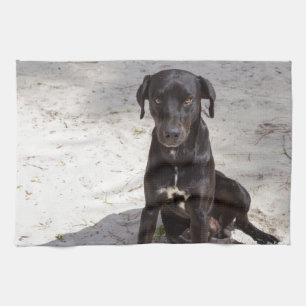 Schwarzer Hund mit bösen Augen Küchentuch