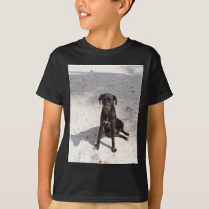 Schwarzer Hund mit bösen Augen T-Shirt