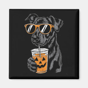 Schwarzer Hund mit Kürbisgetränk-Sonnenbrille für  Magnet
