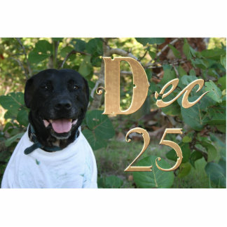 Schwarzer Hund weißes Shirt 25. Dezember Design Freistehende Fotoskulptur